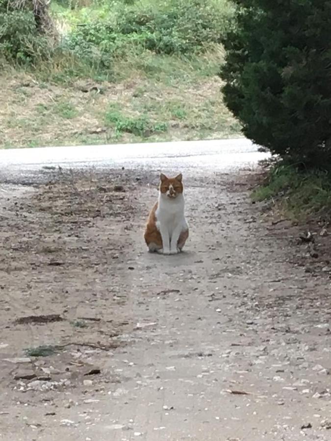 Le Mas Du Pigeonnier Réauville Zewnętrze zdjęcie